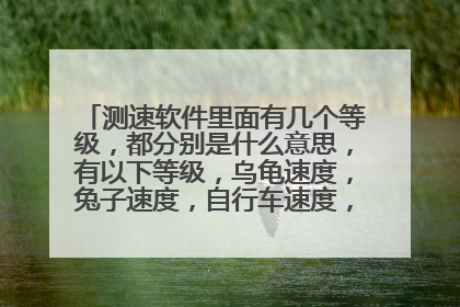 测速软件里面有几个等级，都分别是什么意思，有以下等级，乌龟速度，兔子速度，自行车速度，摩托车速度，