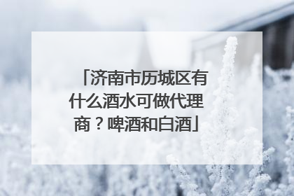 济南市历城区有什么酒水可做代理商？啤酒和白酒