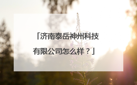 济南泰岳神州科技有限公司怎么样?