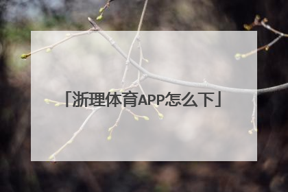 浙理体育APP怎么下