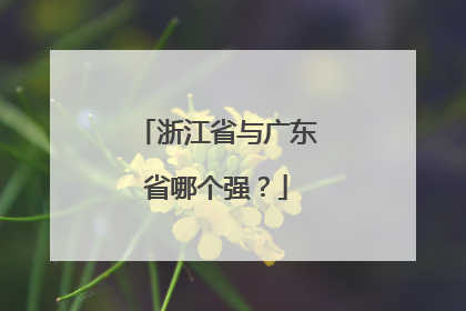 浙江省与广东省哪个强？