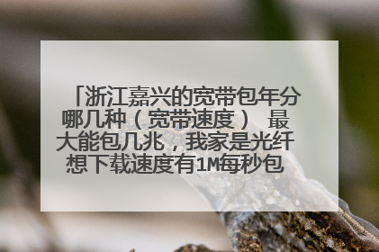 浙江嘉兴的宽带包年分哪几种(宽带速度) 最大能包几兆,我家是光纤想下载速度有1M每秒包哪个要多少钱