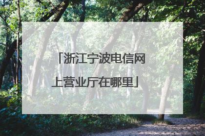 浙江宁波电信网上营业厅在哪里