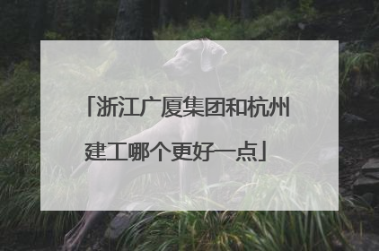 浙江广厦集团和杭州建工哪个更好一点
