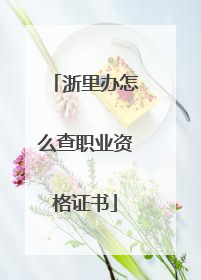 浙里办怎么查职业资格证书