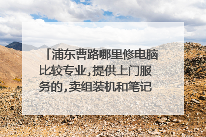 浦东曹路哪里修电脑比较专业,提供上门服务的,卖组装机和笔记本,店比较大的?