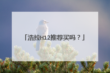 浩拉H12推荐买吗?