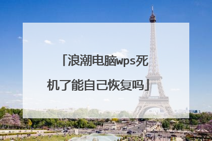 浪潮电脑wps死机了能自己恢复吗