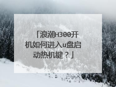 浪潮H300开机如何进入u盘启动热机键？