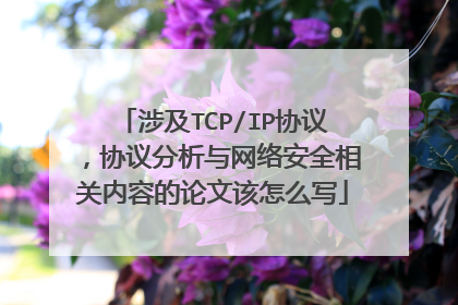 涉及TCP/IP协议，协议分析与网络安全相关内容的论文该怎么写