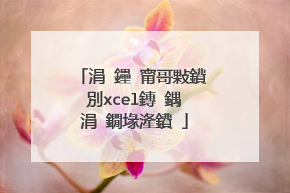 涓�鑸�甯哥敤鐨別xcel鏄�鍝�涓�鐗堟湰鐨�