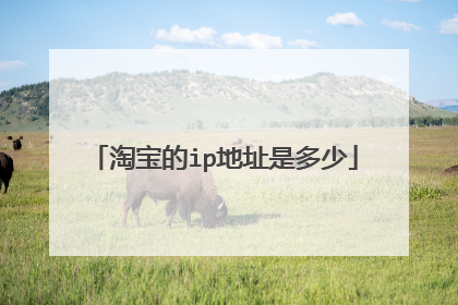 淘宝的ip地址是多少