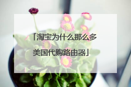 淘宝为什么那么多美国代购路由器
