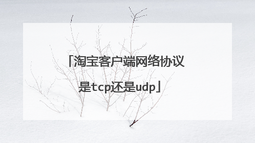 淘宝客户端网络协议是tcp还是udp