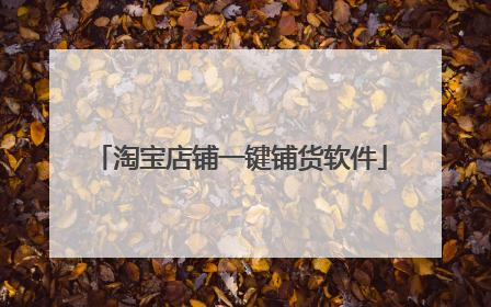 淘宝店铺一键铺货软件