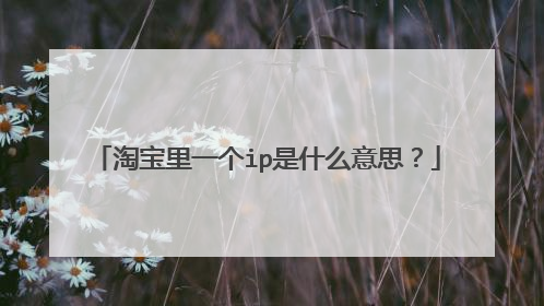 淘宝里一个ip是什么意思?