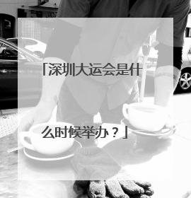 深圳大运会是什么时候举办？