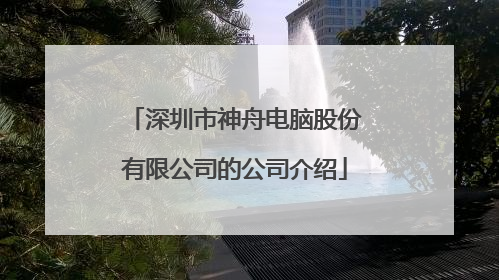 深圳市神舟电脑股份有限公司的公司介绍