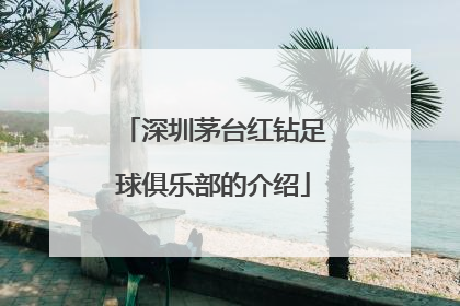 深圳茅台红钻足球俱乐部的介绍