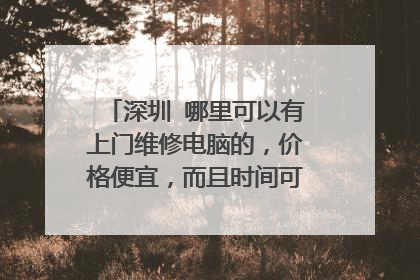 深圳 哪里可以有上门维修电脑的,价格便宜,而且时间可以预约的。因为上班时间没空。