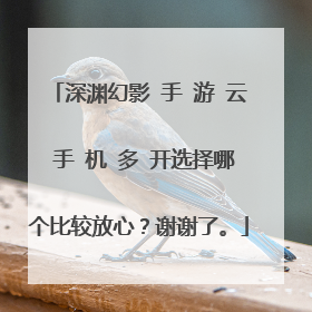 深渊幻影手游云手机多开选择哪个比较放心?谢谢了。