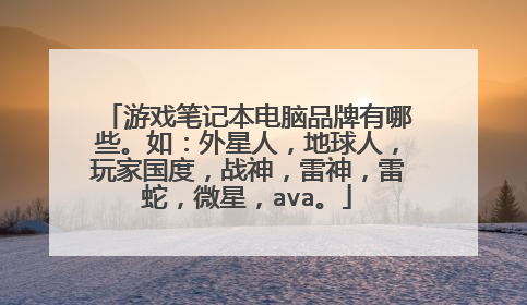 游戏笔记本电脑品牌有哪些。如:外星人,地球人,玩家国度,战神,雷神,雷蛇,微星,ava。