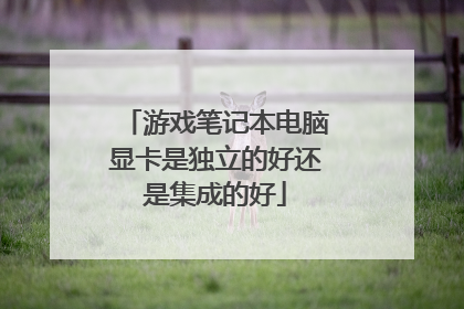 游戏笔记本电脑显卡是独立的好还是集成的好