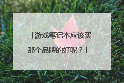 游戏笔记本应该买那个品牌的好呢?