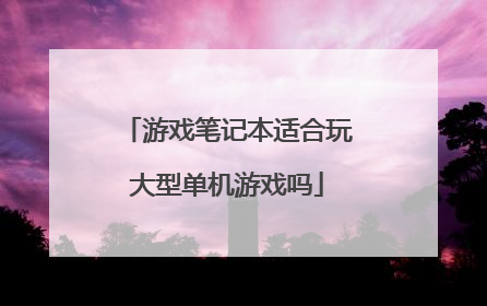 游戏笔记本适合玩大型单机游戏吗
