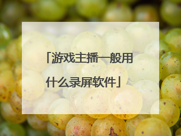 游戏主播一般用什么录屏软件