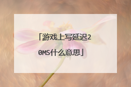 游戏上写延迟20MS什么意思