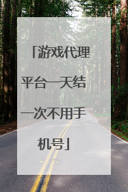 游戏代理平台一天结一次不用手机号