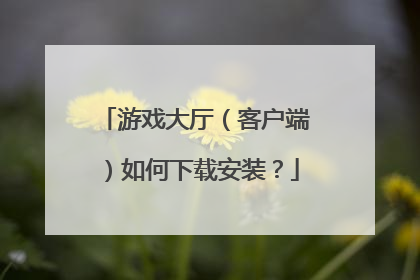 游戏大厅(客户端)如何下载安装?