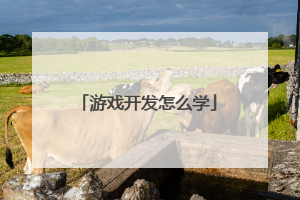 游戏开发怎么学