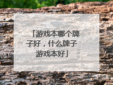 游戏本哪个牌子好,什么牌子游戏本好