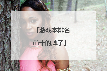 游戏本排名前十的牌子