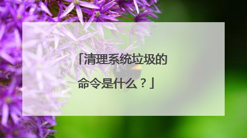 清理系统垃圾的命令是什么?
