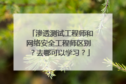 渗透测试工程师和网络安全工程师区别？去哪可以学习？