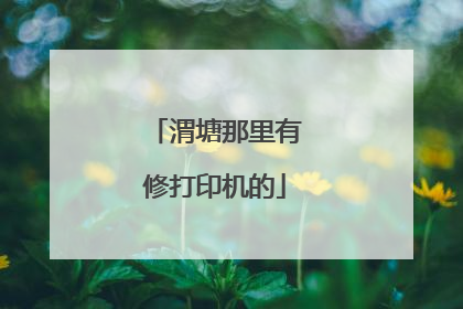 渭塘那里有修打印机的