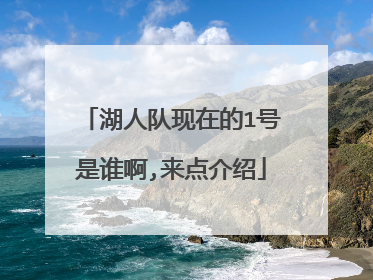 湖人队现在的1号是谁啊,来点介绍