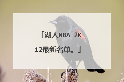 湖人NBA 2K12最新名单。