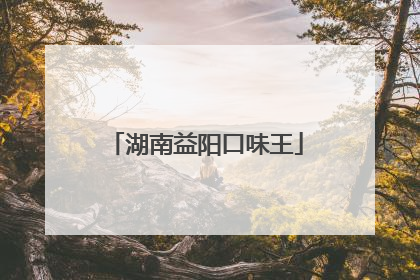 湖南益阳口味王