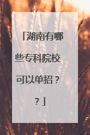 湖南有哪些专科院校可以单招??