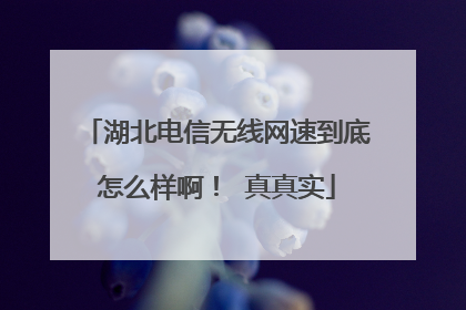湖北电信无线网速到底怎么样啊！ 真真实