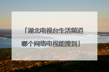 湖北电视台生活频道哪个网络电视能搜到