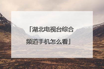 湖北电视台综合频道手机怎么看