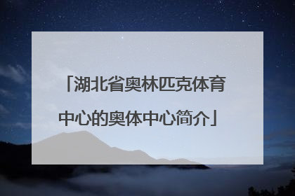 湖北省奥林匹克体育中心的奥体中心简介
