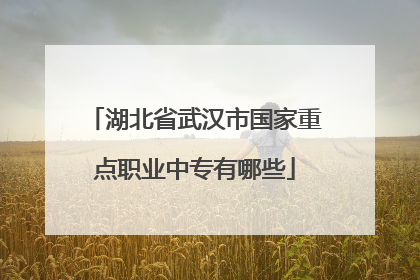 湖北省武汉市国家重点职业中专有哪些