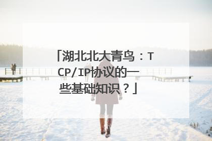 湖北北大青鸟：TCP/IP协议的一些基础知识？
