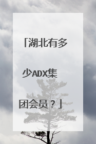 湖北有多少ADX集团会员？